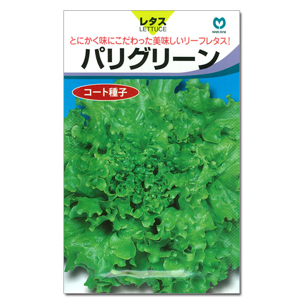 リーフレタス種：パリグリーン* 2袋セット
