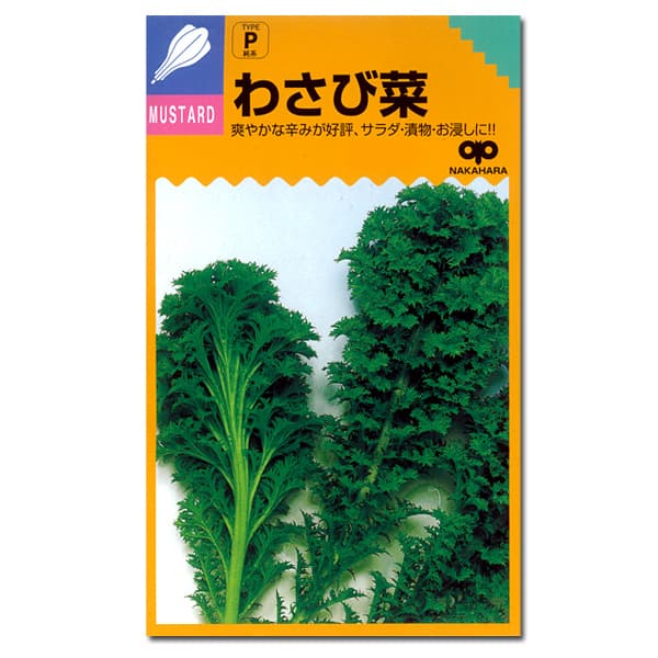 わさび菜（愛彩菜）の種 2袋セット[爽やかな辛味！サラダ・漬物・お浸しに　野菜タネ]