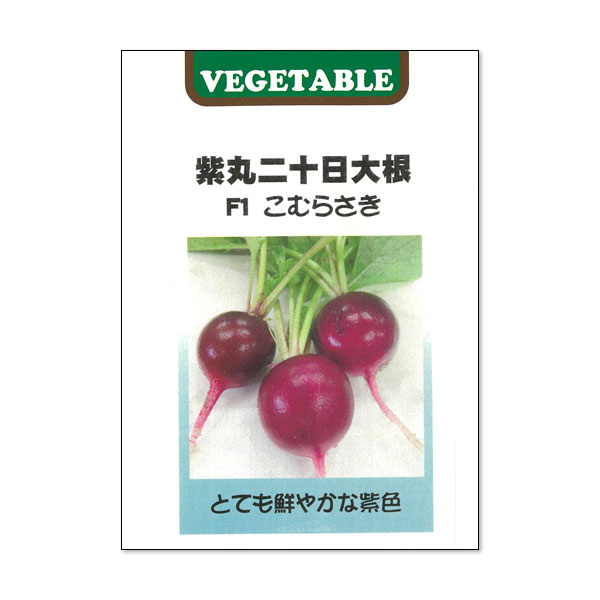 紫丸二十日大根：F1こむらさき 2袋セット[周年まき　野菜タネ][ハツカダイコンのタネ]