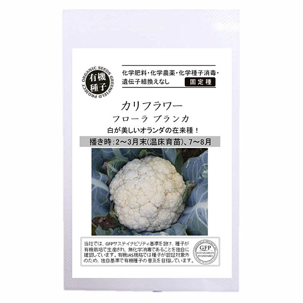 野菜の種：カリフラワー（フローラ ブランカ） 2袋セット[タネ]
