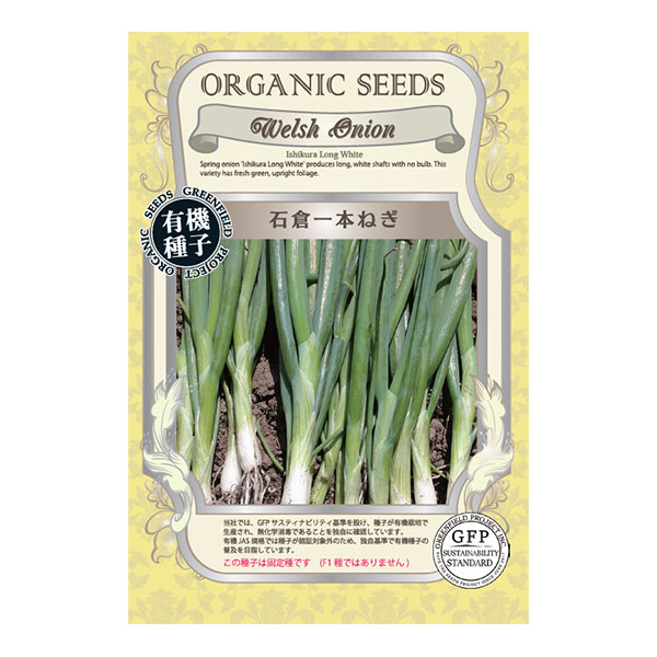 野菜の種：石倉一本ねぎ 2袋セット[野菜タネ]