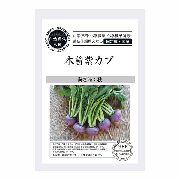 野菜の種：木曽紫カブ 2袋セット[野菜タネ　8-9月まき]