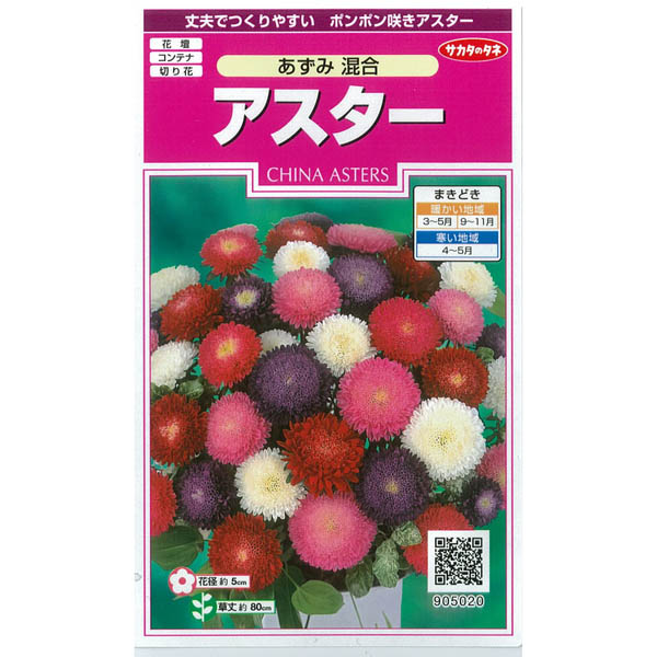 アスター：あずみ混合の種 2袋セット[花タネ]