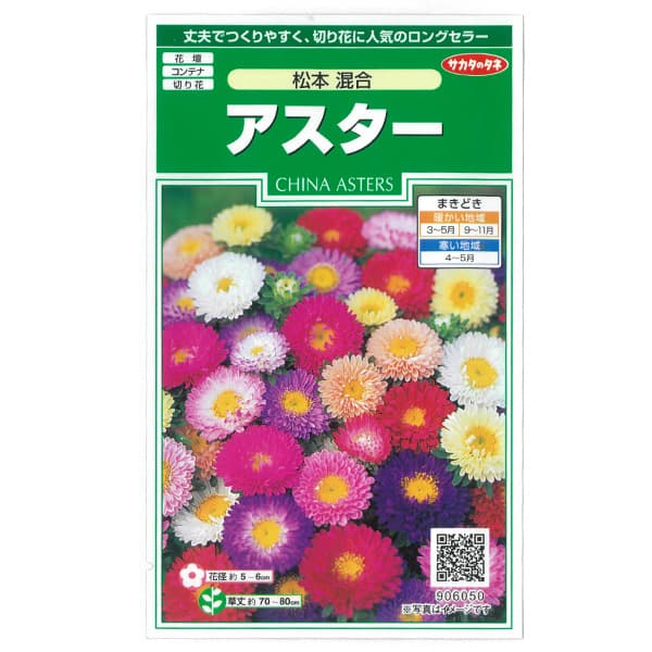 アスター：松本混合の種 2袋セット[サカタ　花タネ]