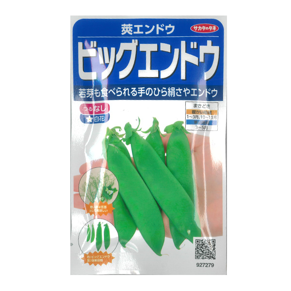 エンドウ：ビッグエンドウ（莢エンドウ） 2袋セット[サカタ　野菜タネ]