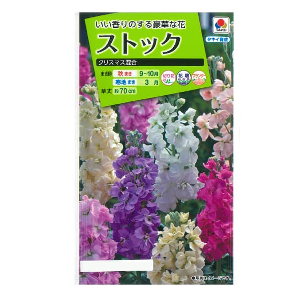 ストック：クリスマス混合 2袋セット[タキイ 花タネ]