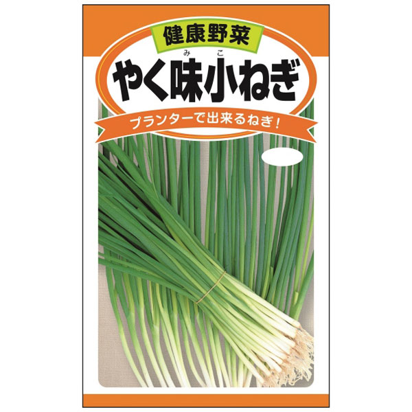 ネギ：やく味小ネギ 2袋セット[プランター栽培可能　辛味が少ない葉ネギ　野菜タネ]