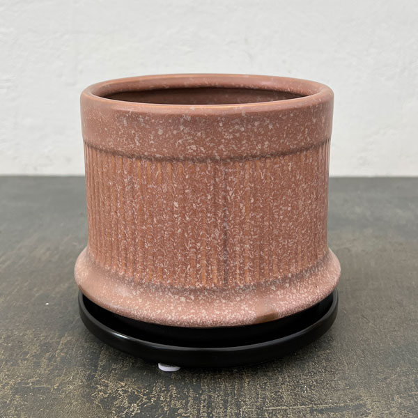 ミネルバ：紫S（直径約13cm）／黒マット受け皿付き