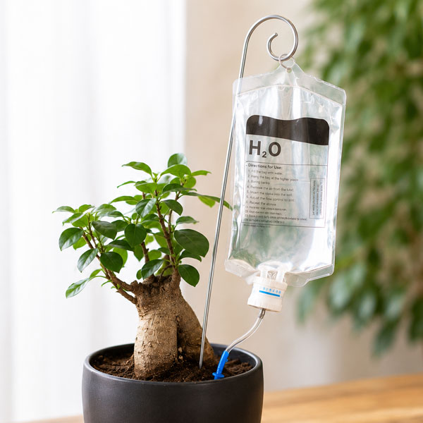 自動水やり点滴H2O 3点セット（点滴パック・ピック・ミニ漏斗）／全長49cm・容量約350ml／823411