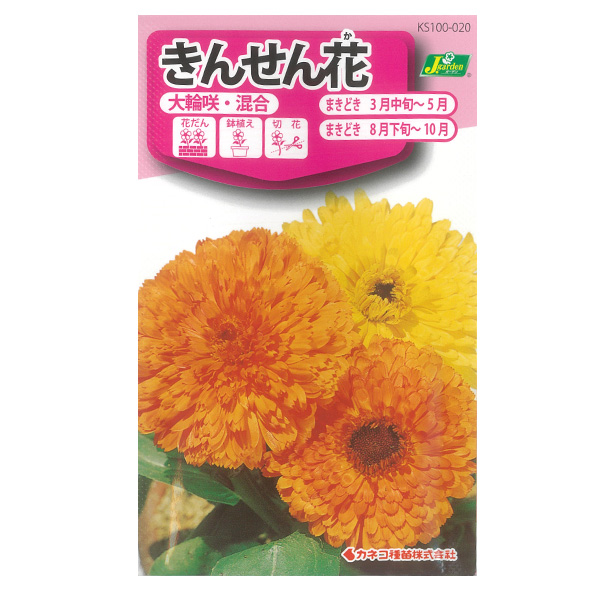 キンセンカ：大輪咲き混合（カレンデュラ・金盞花） 3袋セット[カネコ　花タネ]