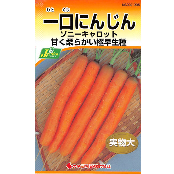 ニンジン種：一口にんじん ソニーキャロット 2袋セット[野菜タネ]