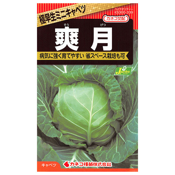 キャベツ：爽月（そうげつ） 2袋セット[野菜タネ]