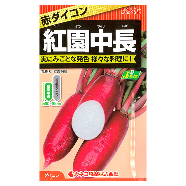 ダイコン：紅園中長（べにそのちゅうなが） 2袋セット[野菜タネ]