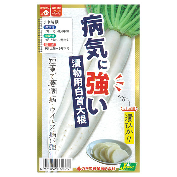 ダイコン：漬ひかり（つけひかり） 2袋セット[野菜タネ]