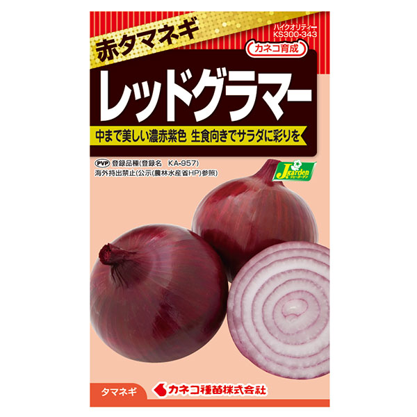 タマネギ（玉ねぎ）：レッドグラマー 2袋セット[野菜タネ]