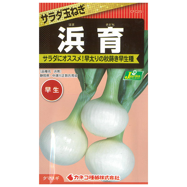 タマネギ（玉ねぎ）：浜育（はまそだち） 2袋セット[野菜タネ]