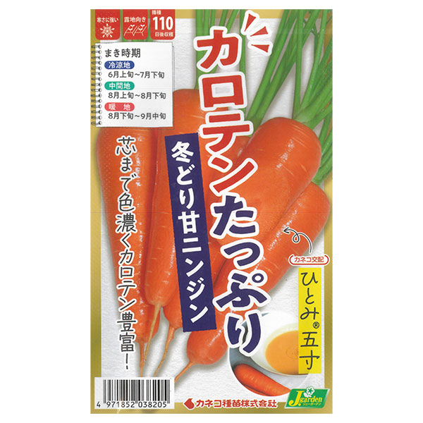 ニンジン：カロテンたっぷり冬どり甘ニンジン ひとみ五寸 2袋セット[野菜タネ]