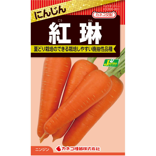 ニンジン：紅琳（こうりん） 2袋セット[冬まき　野菜タネ]