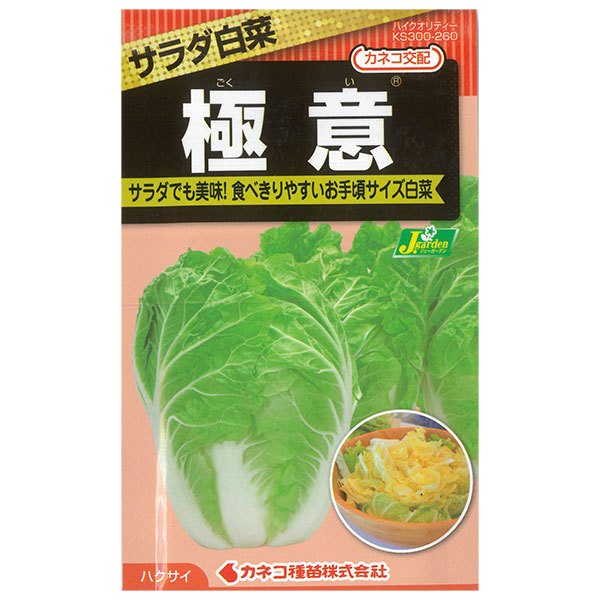 ハクサイ（白菜）：極意（ごくい） 2袋セット[野菜タネ]