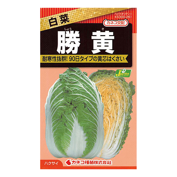 ハクサイ（白菜）：勝黄（しょうき） 2袋セット[野菜タネ]