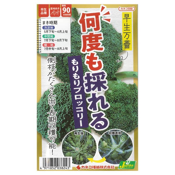 ブロッコリー：何度も採れる 早生万蕾（わせばんらい）* 2袋セット[野菜タネ]