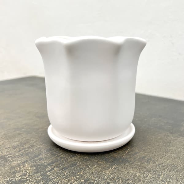 ルーアン：白M（直径約12.5cm）・皿付き