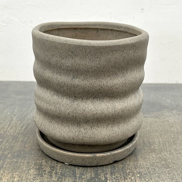 ピサロ：濃緑M（直径約14cm）・受け皿付