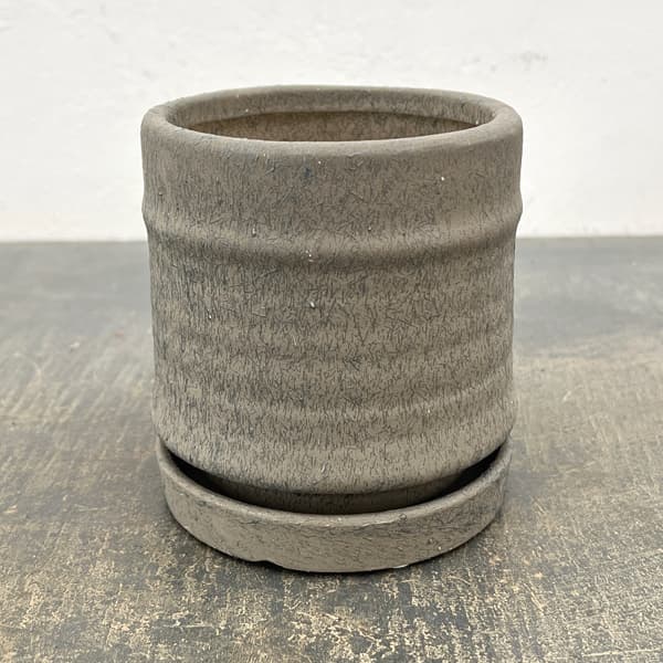 アゴラ：濃緑S（直径約11.5cm）・受け皿付