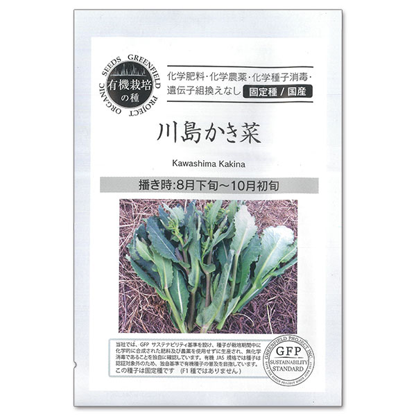 野菜の種：川島かき菜[野菜タネ　8-10月まき]