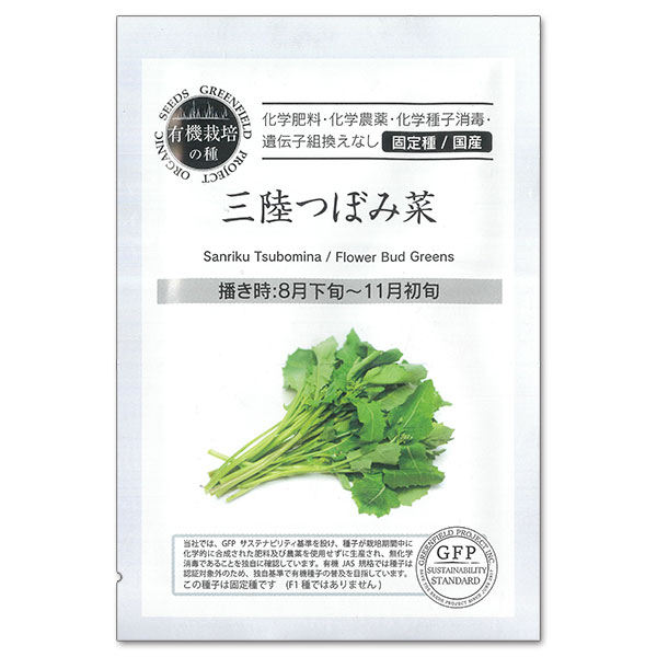 野菜の種：三陸つぼみ菜 2袋セット[野菜タネ　8-11月まき]