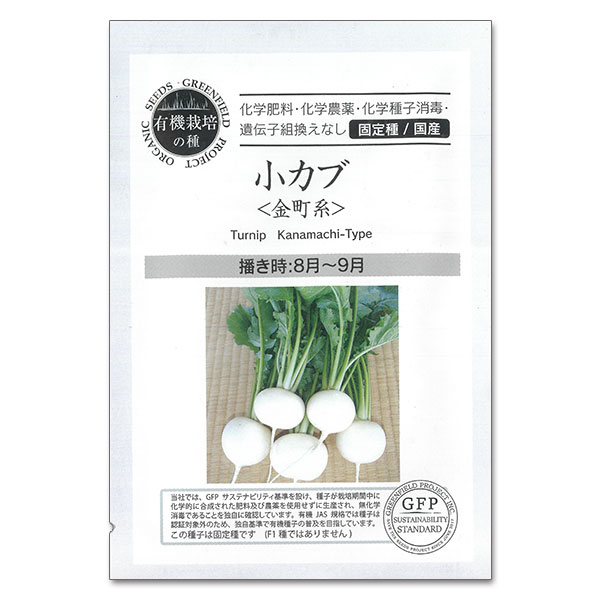 野菜の種：小カブ（金町系） 2袋セット[野菜タネ　8-9月まき]