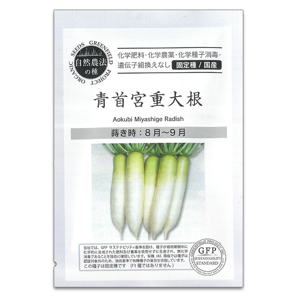 野菜の種：青首宮重大根（あおくびみやしげだいこん） 2袋セット[野菜タネ　8-9月まき]
