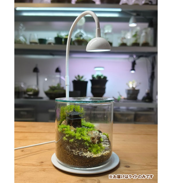 テラリウム専用育成ライト：GROW 01（グロウ０１ホワイト）