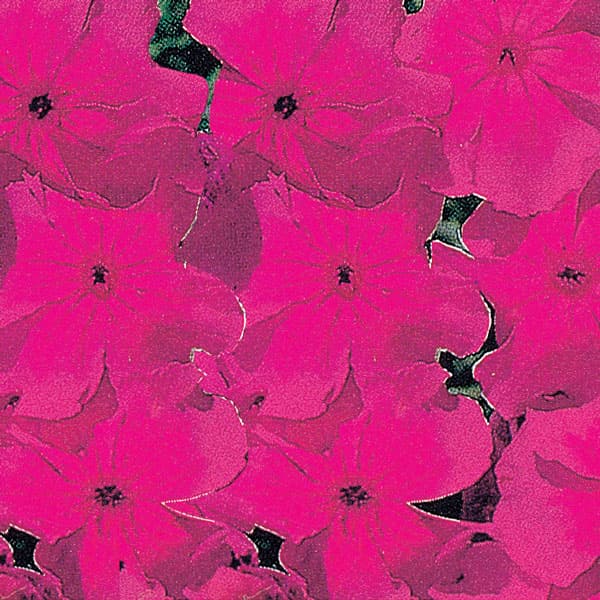 [送料無料]リクニス3号ポット28株セット