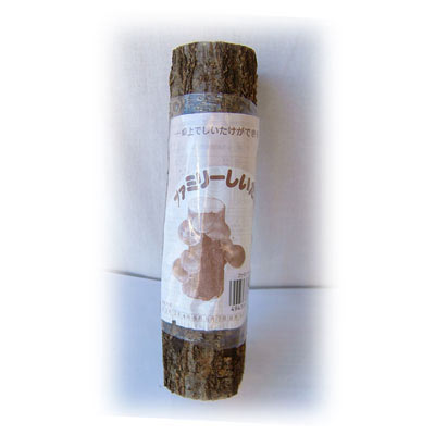 園芸ネット本店｜しいたけホダ木短木22cm1本 の通販【公式】