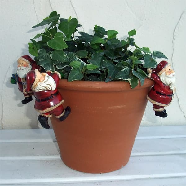 園芸ネット本店｜ポットハンギング サンタ（レッド）3個セット