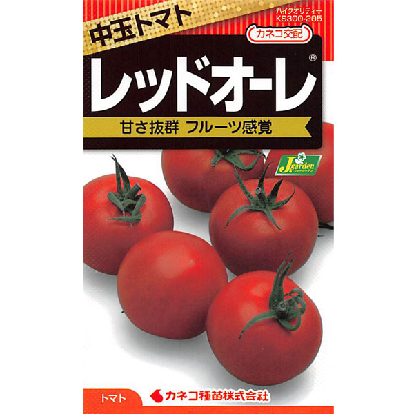 トマト：中玉トマト レッドオーレ [野菜タネ]*