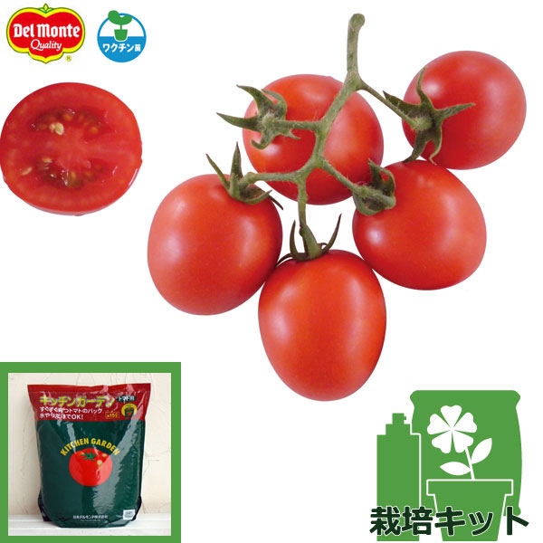 園芸ネット本店｜トマトのかんたん栽培セット：フルーティートマト赤