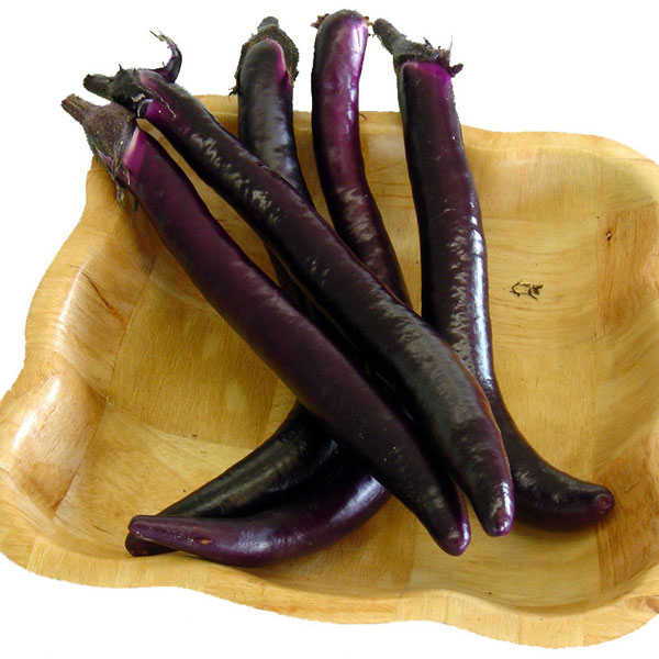 ナス：紫美人（ゆかりびじん）3号ポット20株セット