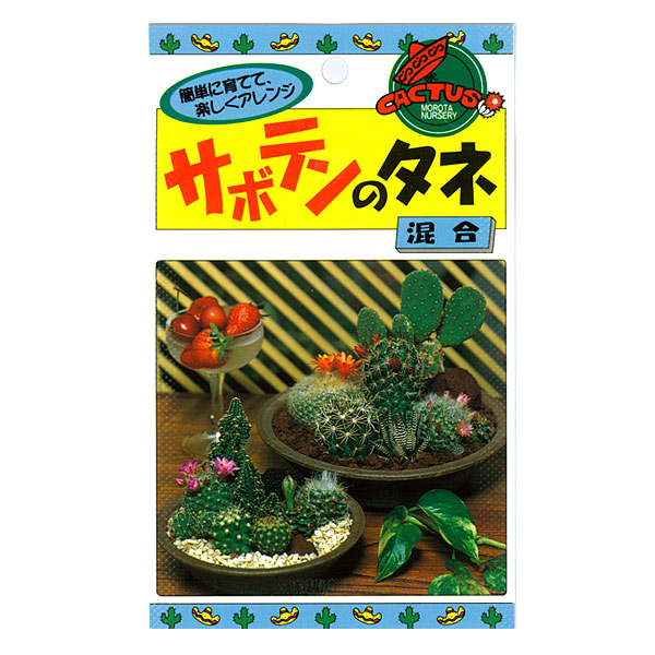 [送料無料]サボテンの種：5袋セット*[タネ]
