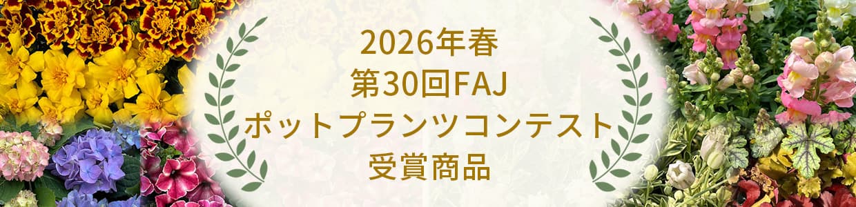 季節の特集:ポットプランツコンテスト