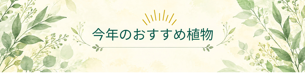 今年のおすすめ植物