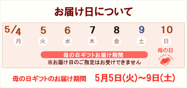 [送料無料][2024年 母の日ギフト][予約]ハイビスカス（ニューロングライフ）3色ミックス 7号鉢植え