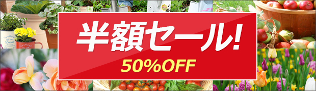 セール:半額セール