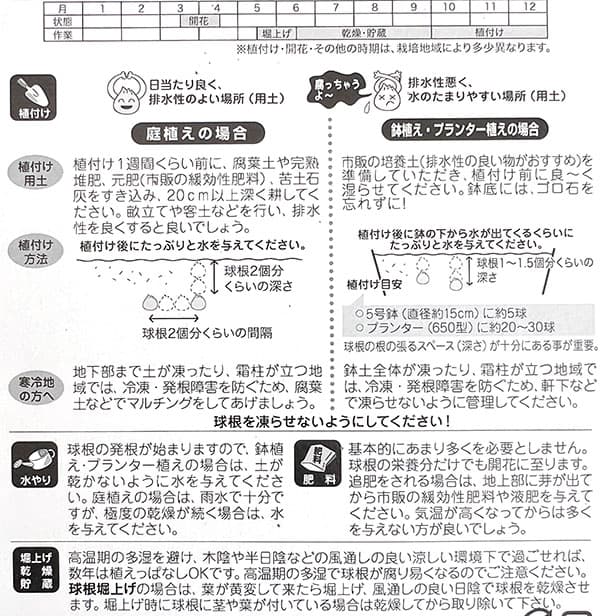 [棚卸セール]プスキニア：リバノチカブルー8球入り
