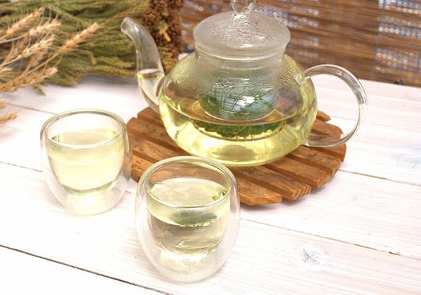 ニホンハッカ：ホクト3号ポット