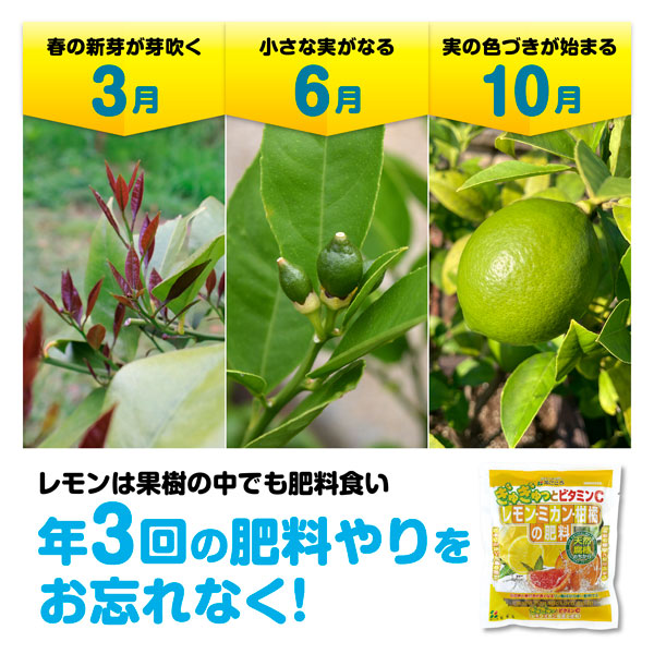 元肥・追肥：レモン・ミカン・柑橘の肥料500ｇ入り（6-7-6）