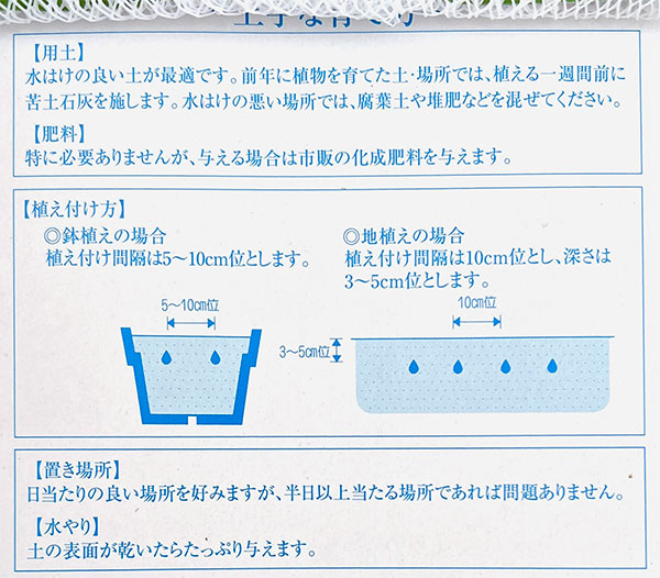 スパラキシス:混合10球入り