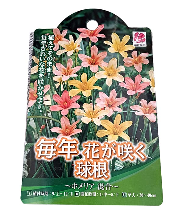 ホメリア:混合8球入り