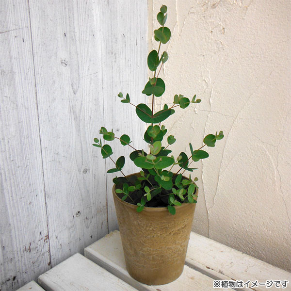 アートストーン ラウンド ベージュ 直径13cm（穴なし） 3個セット